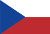 Český jazyk